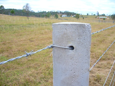 fence posts